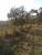 Terreno, 19 hectares - Foto 1