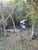 Terreno, 19 hectares - Foto 3