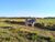 Fazenda, 484 hectares - Foto 5