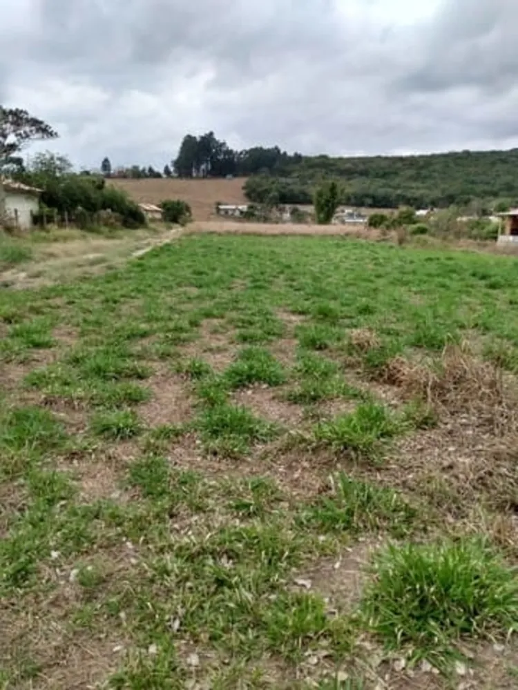 Terreno, 1000 m² - Foto 1
