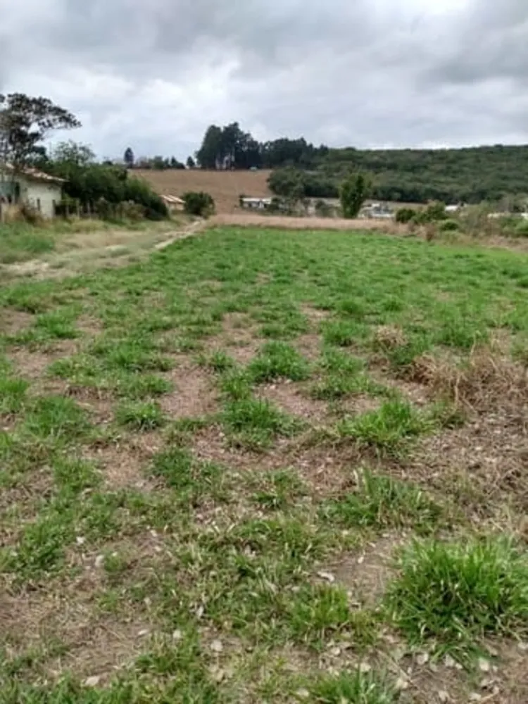 Terreno, 1000 m² - Foto 4