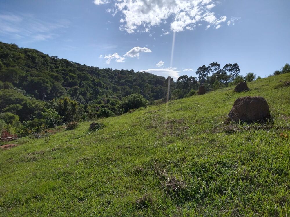 Sítio, 2 quartos, 7 hectares - Foto 12