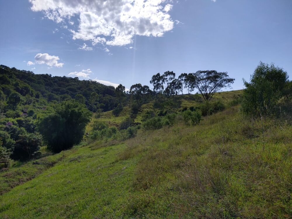 Sítio, 2 quartos, 7 hectares - Foto 14