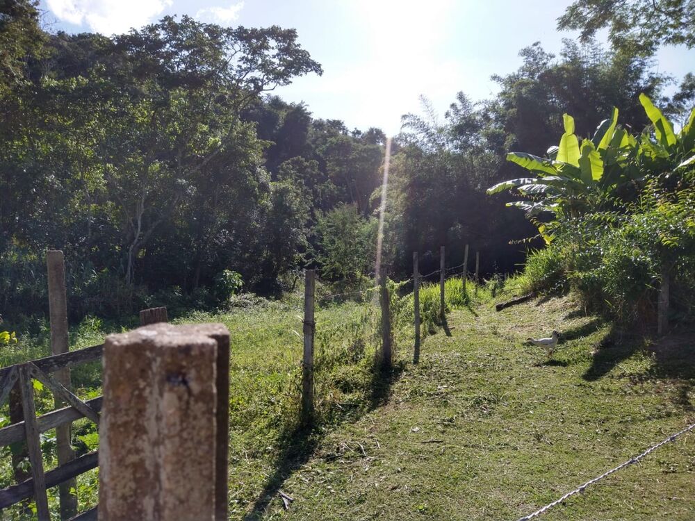 Sítio, 2 quartos, 7 hectares - Foto 18