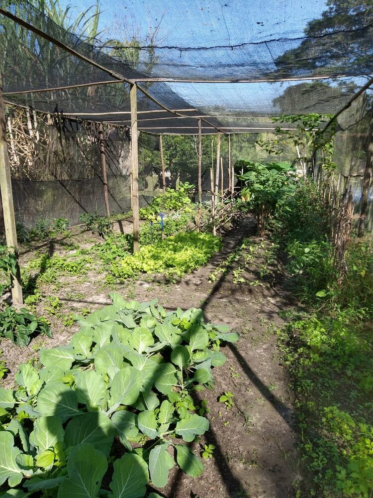Sítio, 2 quartos, 7 hectares - Foto 21