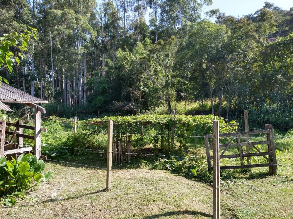 Sítio, 2 quartos, 7 hectares - Foto 17