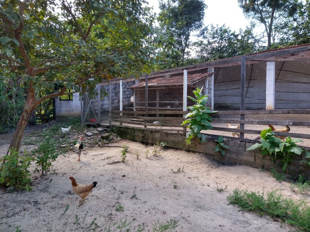 Sítio, 2 quartos, 7 hectares - Foto 7