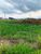Terreno, 125 m² - Foto 3