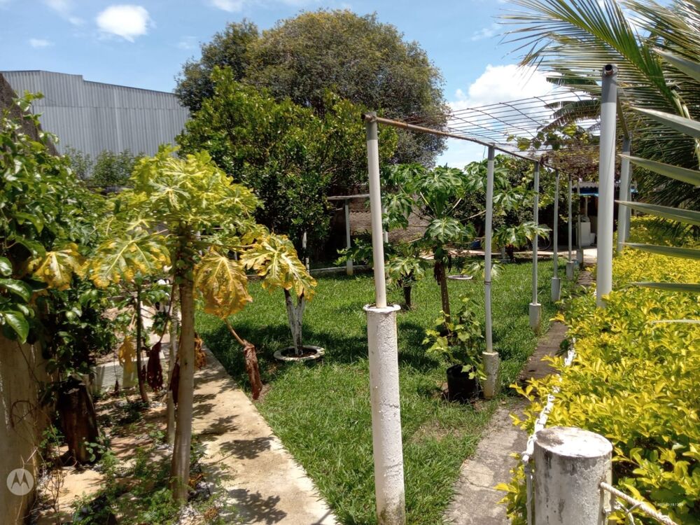 Chácara à venda com 2 quartos - Foto 2