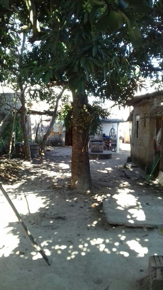 Casa à venda com 2 quartos, 396m² - Foto 7