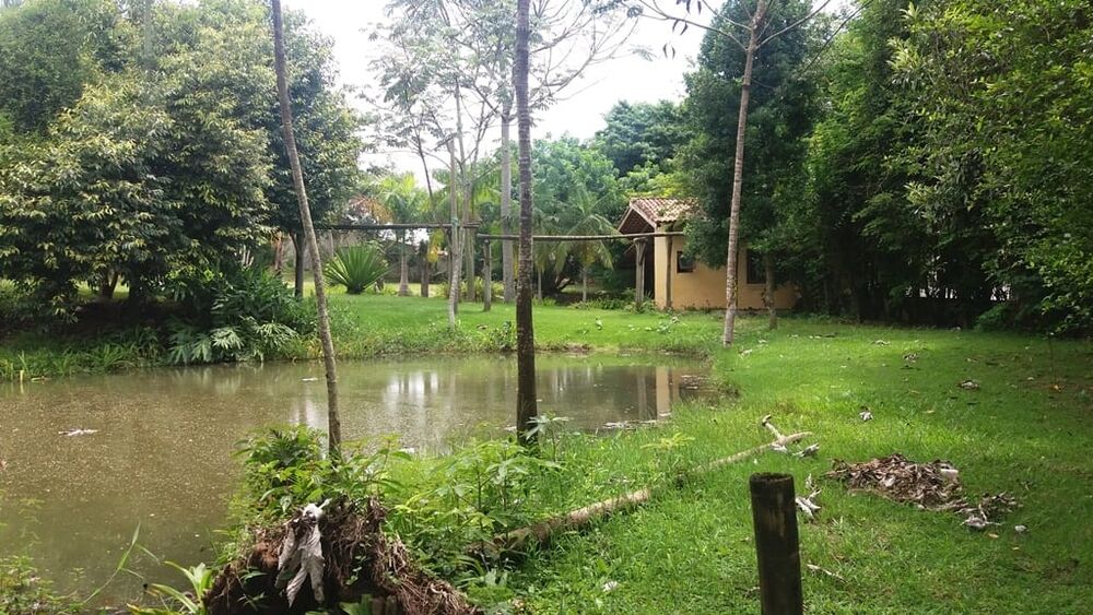 Prédio Inteiro à venda, 1000m² - Foto 6