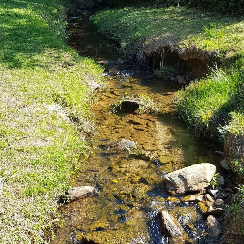 Sítio, 2 quartos, 2 hectares - Foto 6
