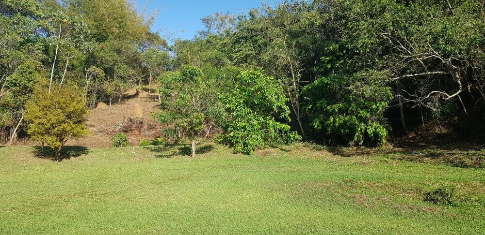 Sítio, 2 quartos, 2 hectares - Foto 16
