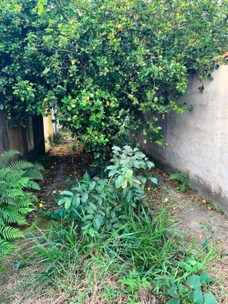 Chácara, 1 quarto, 1164 m² - Foto 1