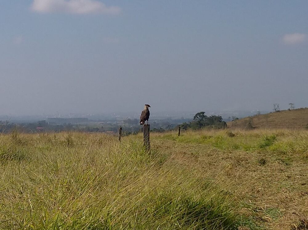 Terreno à venda - Foto 1