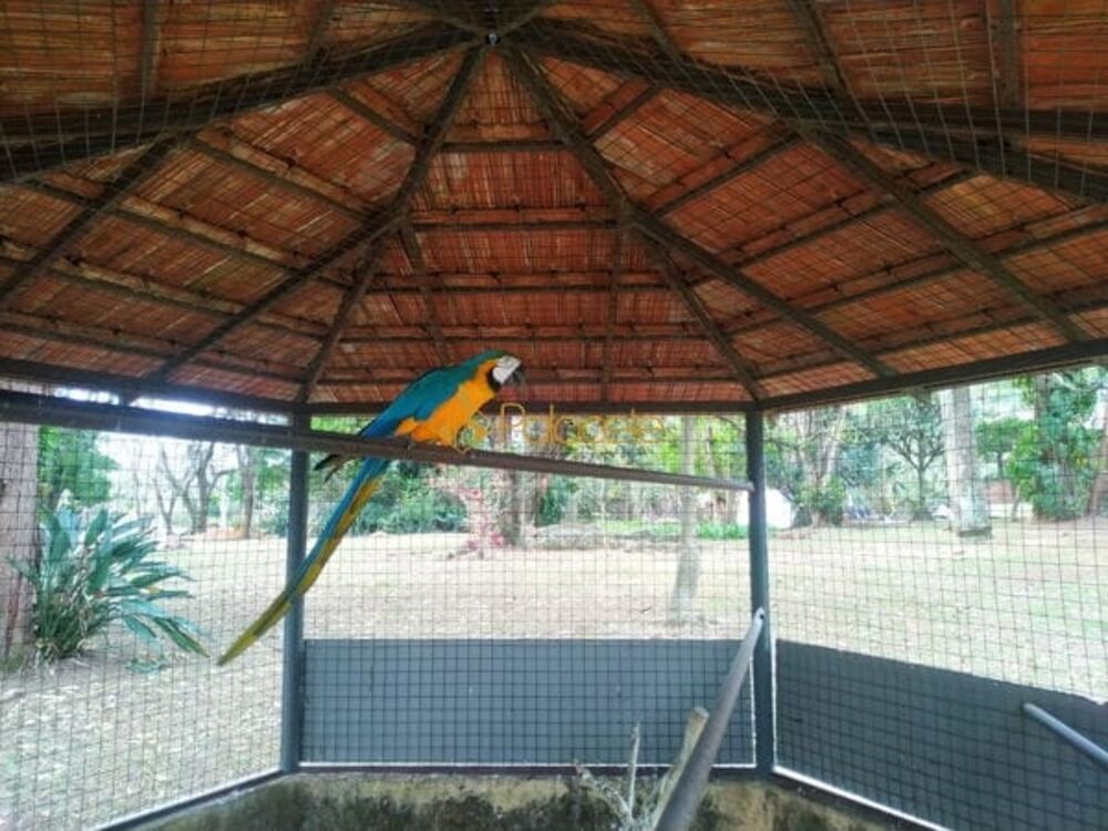 Chácara à venda com 7 quartos, 700m² - Foto 1
