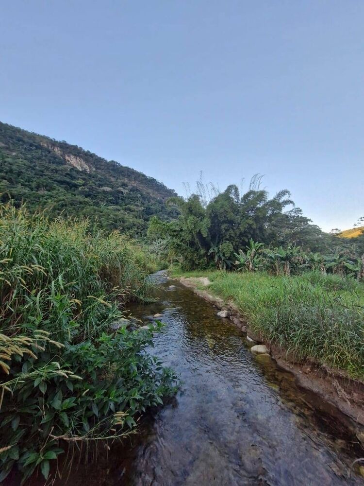 Chácara para alugar com 4 quartos, 20000m² - Foto 8