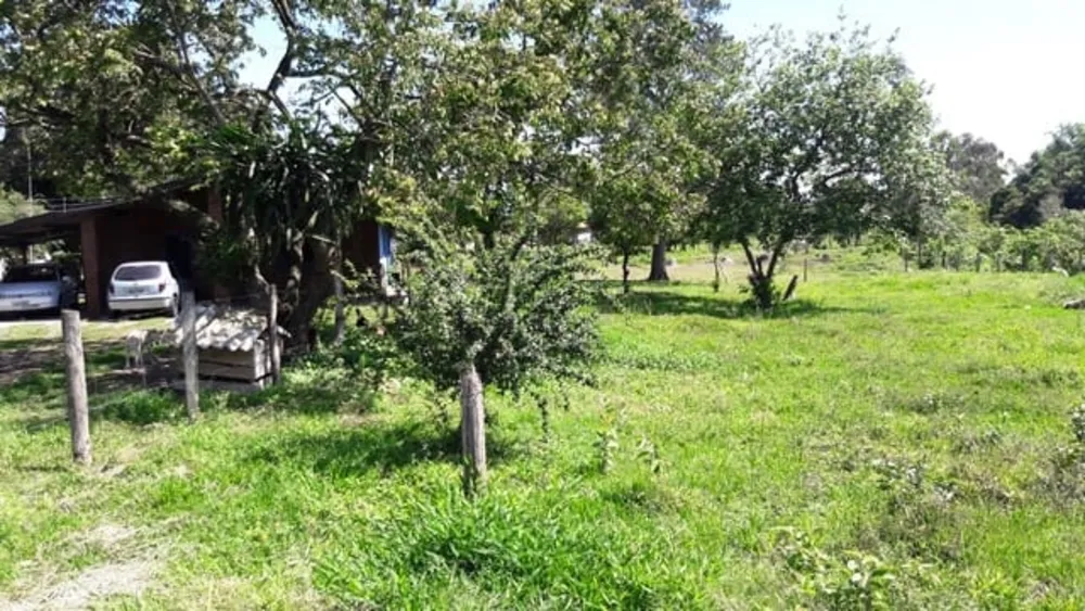 Chácara, 3 quartos, 8933 m² - Foto 2