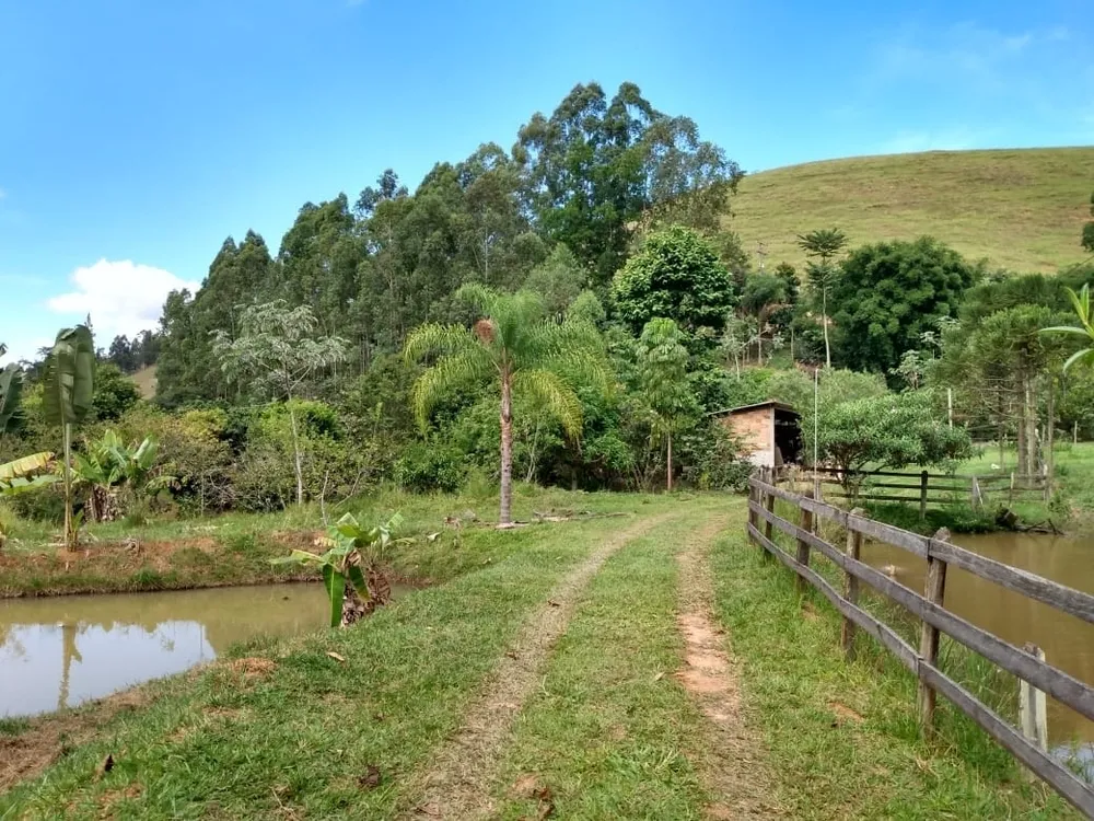 Terreno, 14 hectares - Foto 3