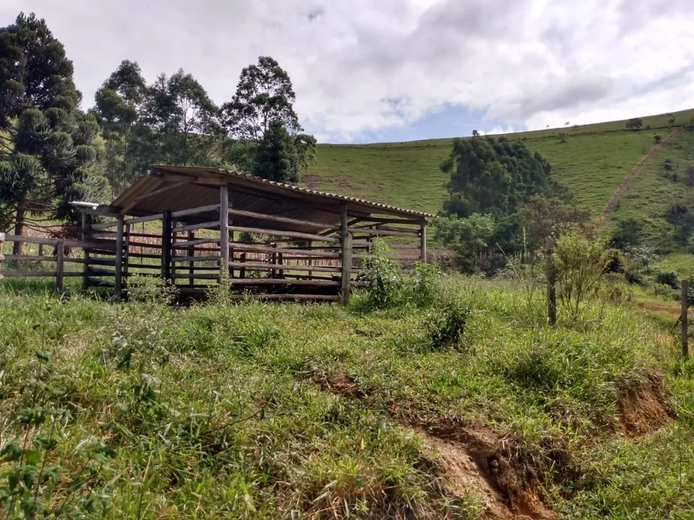 Terreno, 14 hectares - Foto 2