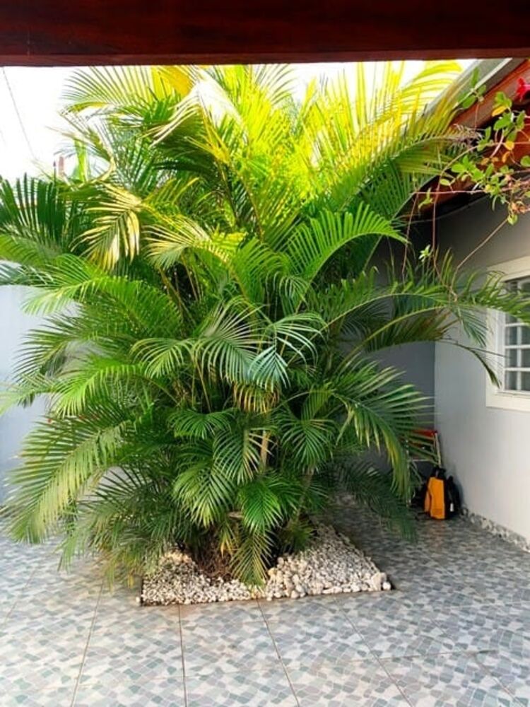 Casa, 2 quartos, 137 m² - Foto 14
