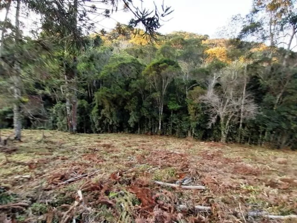 Terreno, 17 hectares - Foto 1
