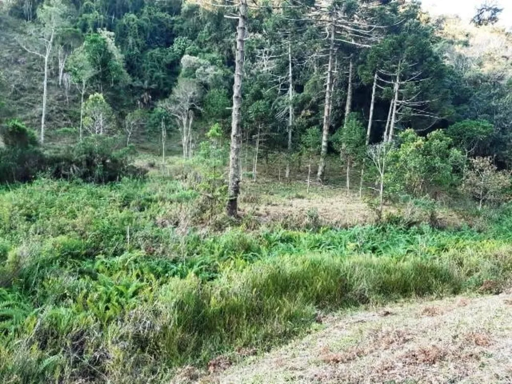 Terreno, 17 hectares - Foto 4