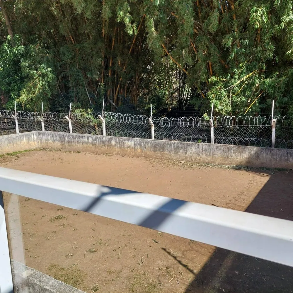 Apartamento, 2 quartos, 72 m² - Foto 2