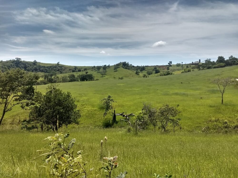 Terreno, 40 hectares - Foto 1