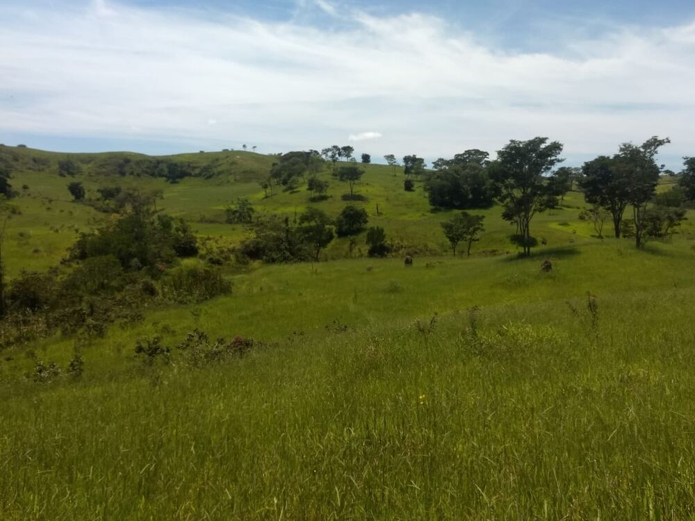 Terreno, 40 hectares - Foto 7