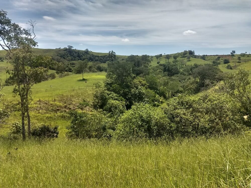 Terreno, 40 hectares - Foto 10