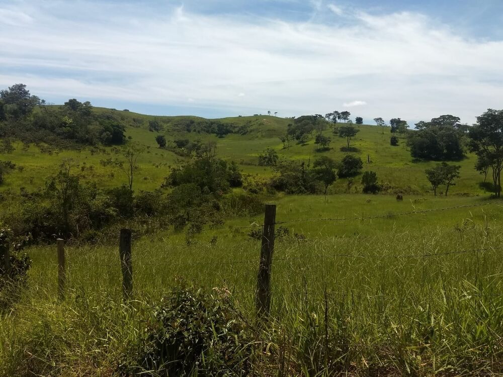 Terreno, 40 hectares - Foto 4