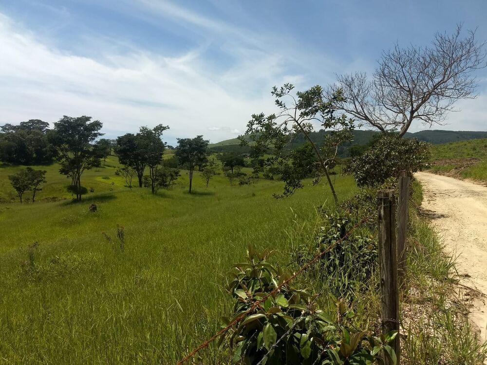 Terreno, 40 hectares - Foto 3