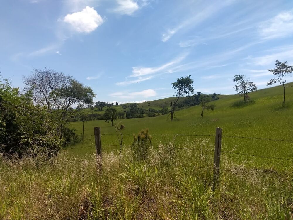 Terreno, 40 hectares - Foto 2