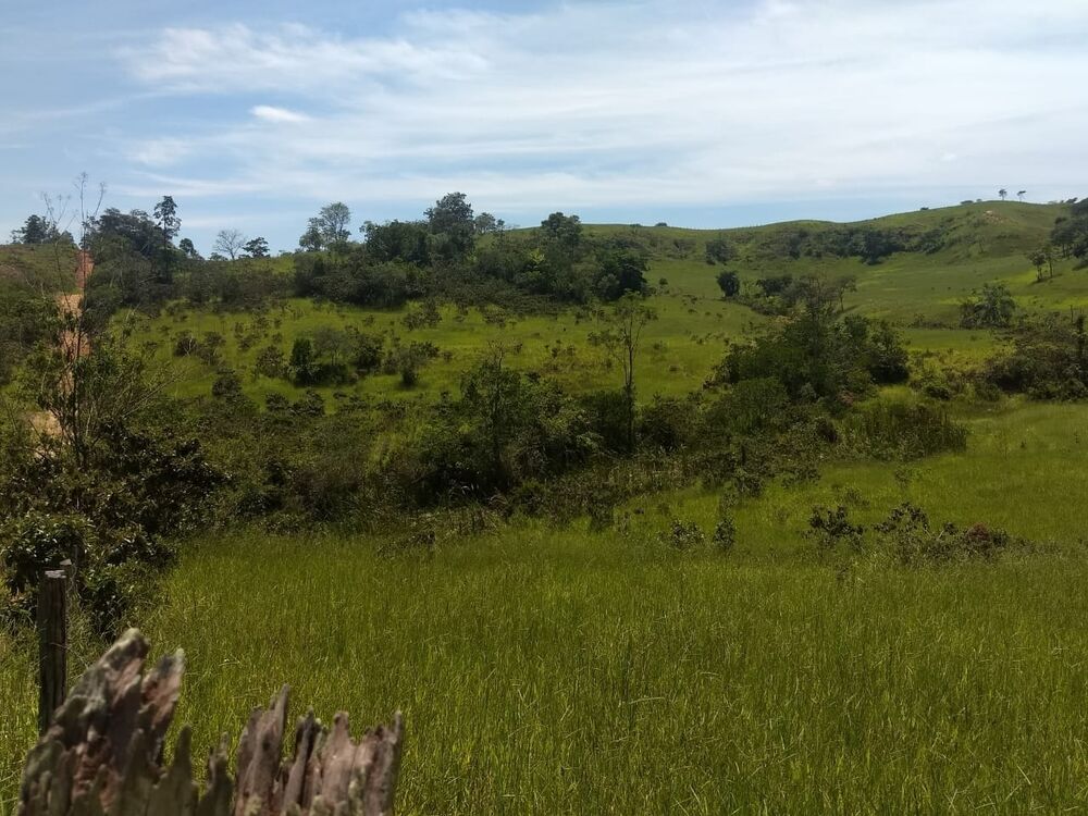 Terreno, 40 hectares - Foto 11