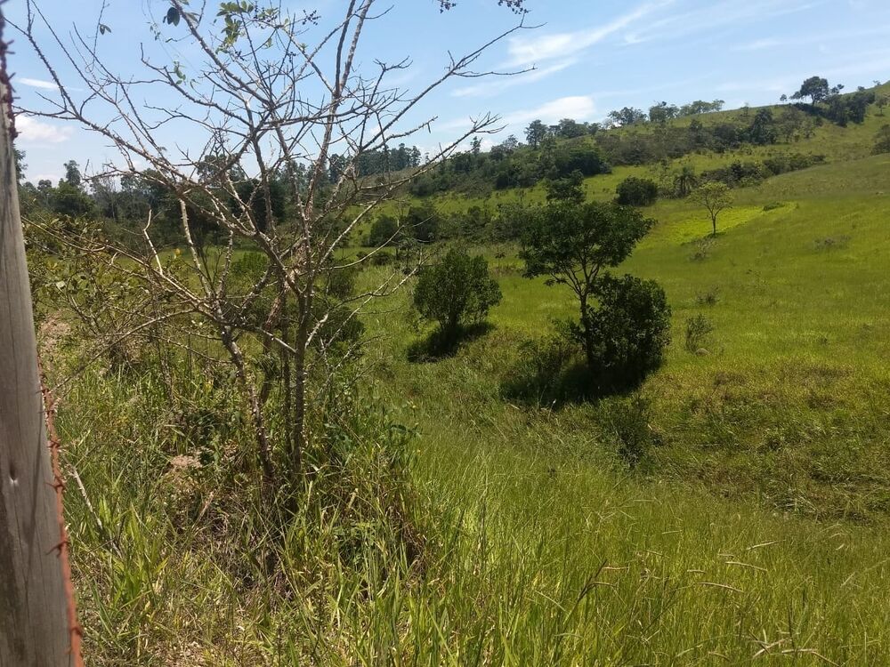 Terreno, 40 hectares - Foto 5