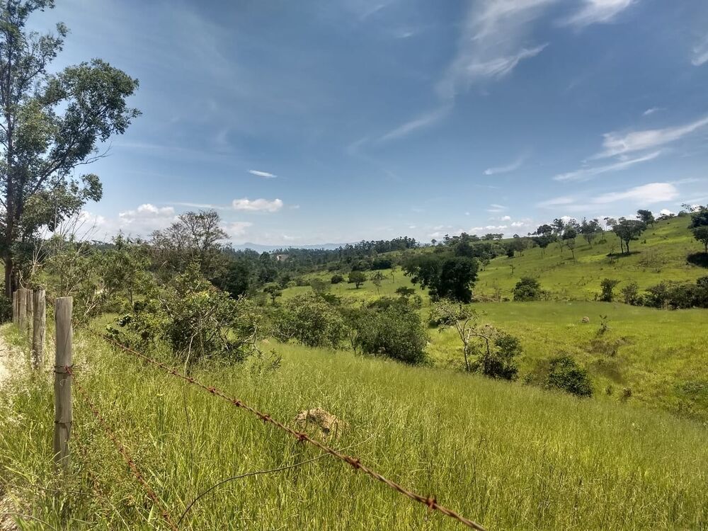 Terreno, 40 hectares - Foto 14