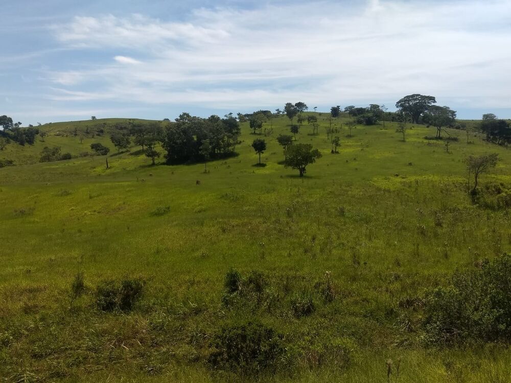 Terreno, 40 hectares - Foto 15