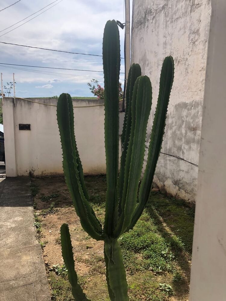 Sobrado, 3 quartos, 112 m² - Foto 5