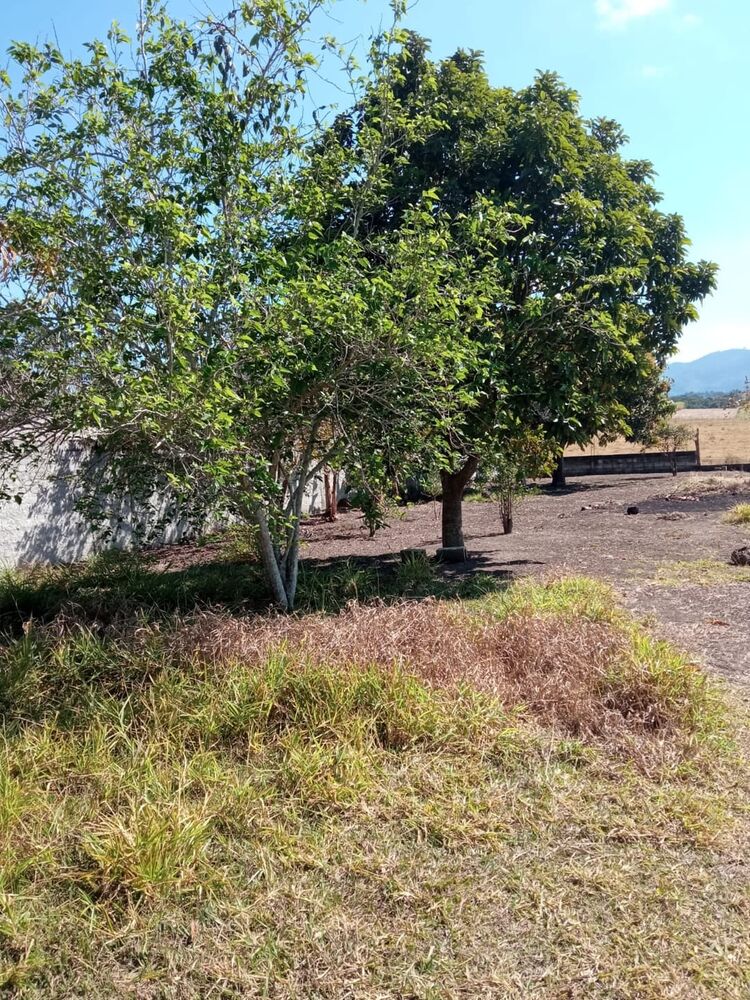 Chácara à venda com 3 quartos - Foto 1