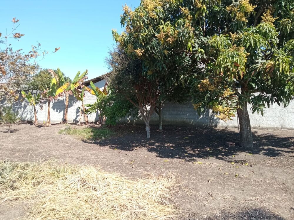 Chácara à venda com 3 quartos - Foto 4