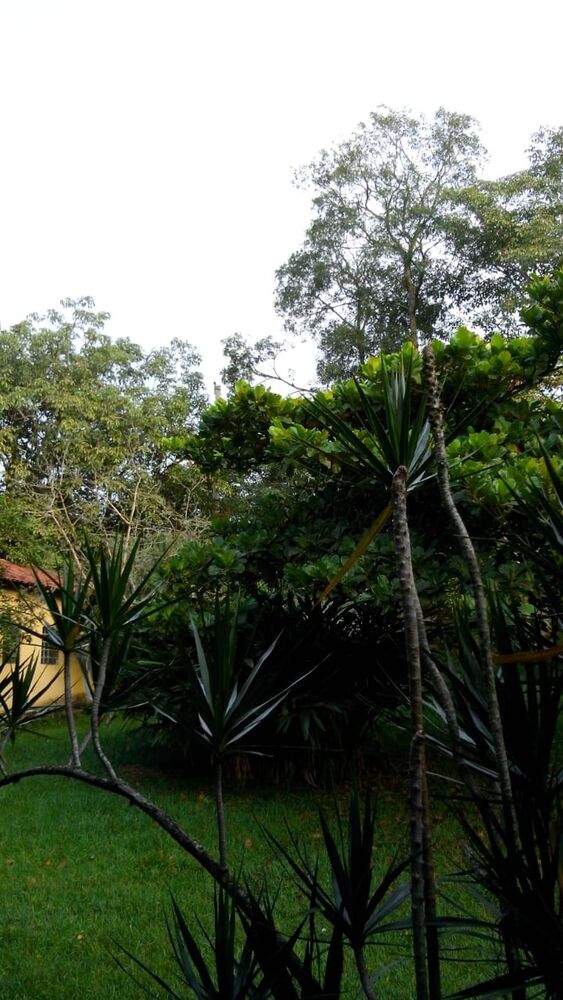 Chácara à venda com 2 quartos, 120m² - Foto 3