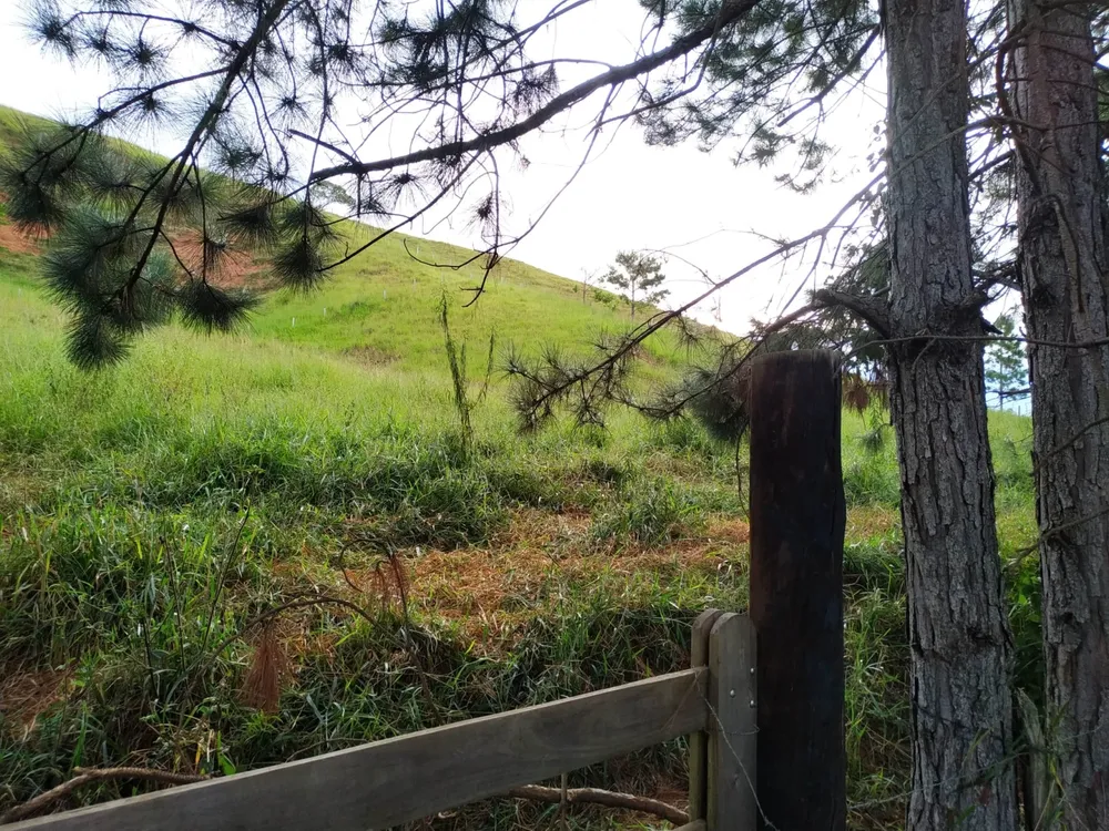 Terreno, 3 hectares - Foto 4