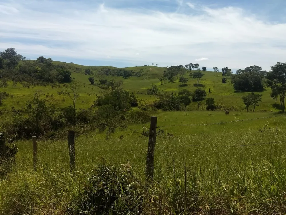 Terreno, 40 hectares - Foto 1