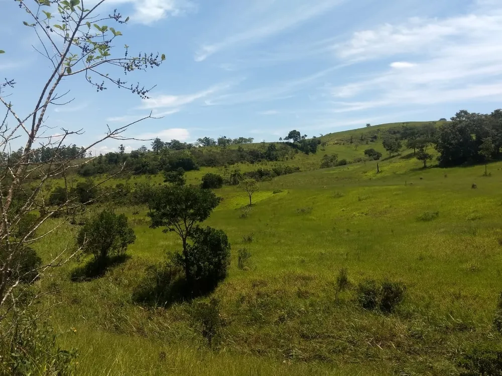 Terreno, 40 hectares - Foto 3