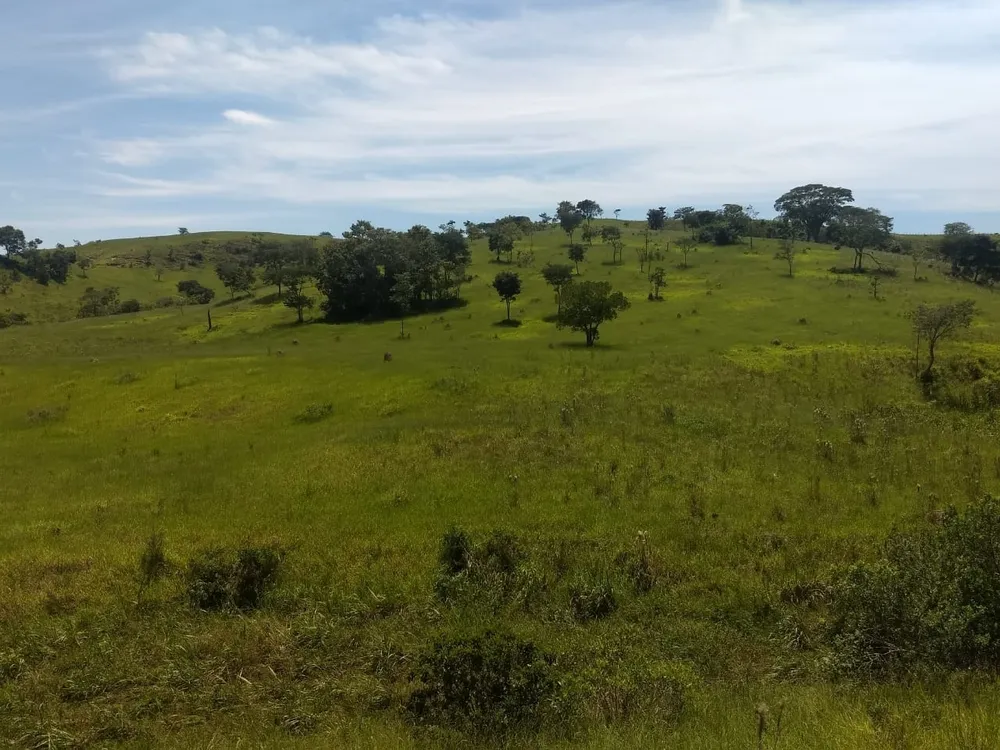 Terreno, 40 hectares - Foto 4