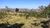 Chácara, 1 quarto, 1 hectares - Foto 3