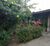 Casa, 3 quartos, 300 m² - Foto 3