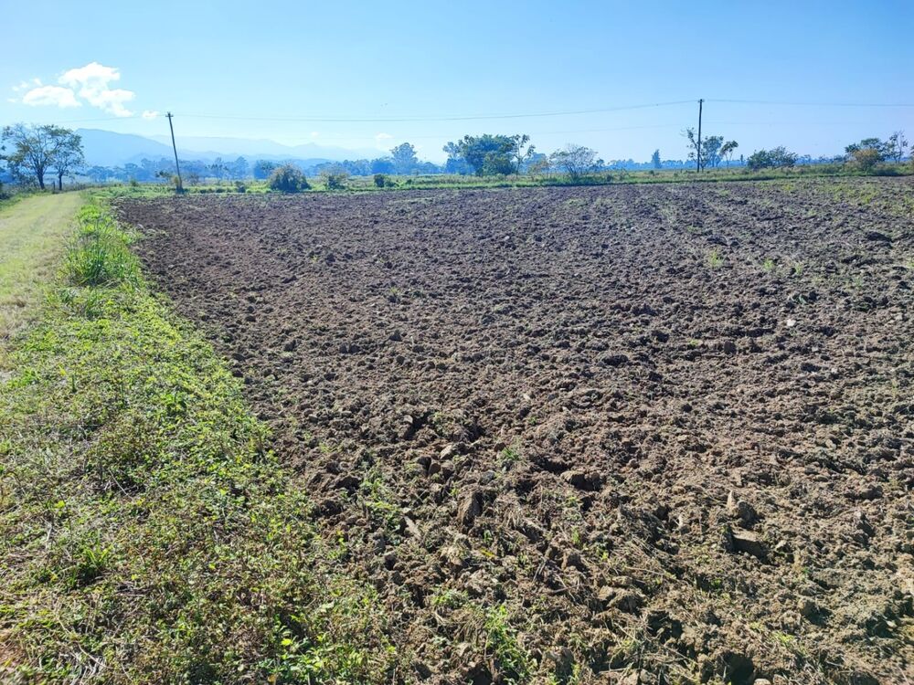 Terreno à venda, 24500m² - Foto 7