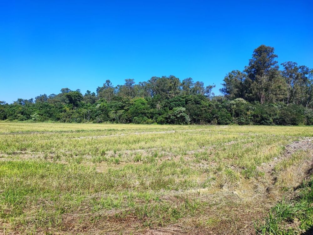 Terreno à venda, 24500m² - Foto 1